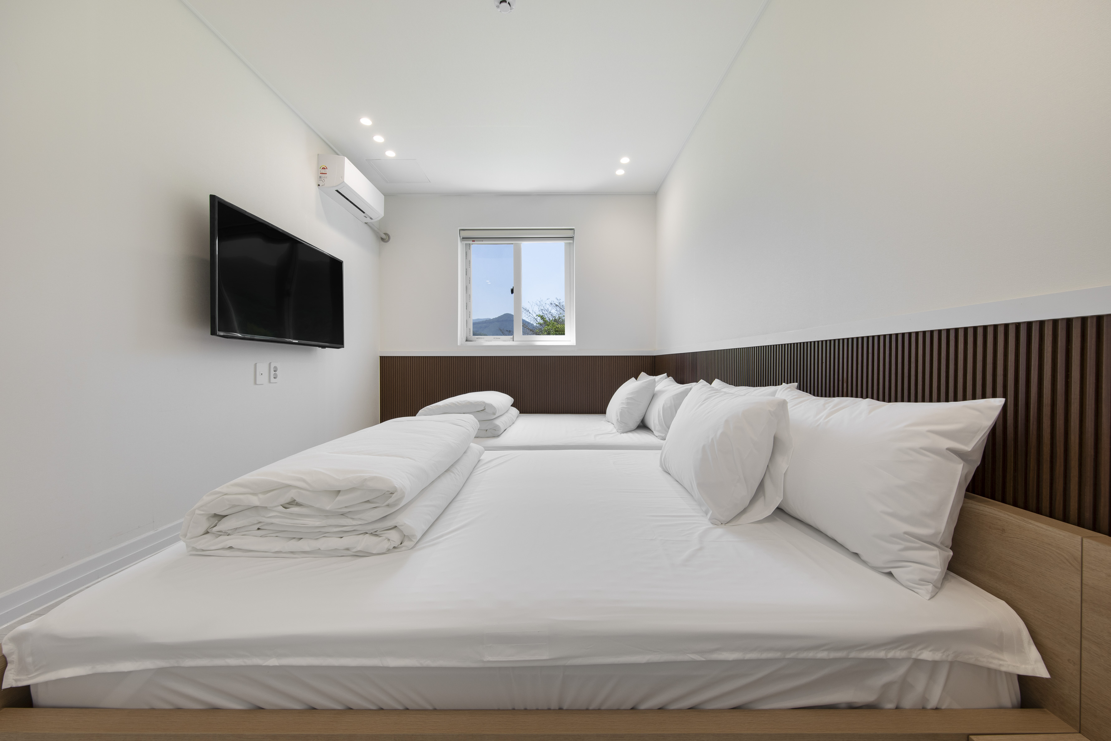 리아 B